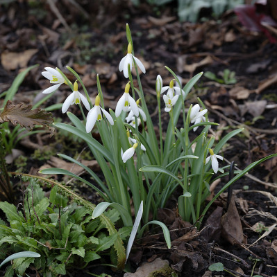 DSC_7138_DxO.jpg