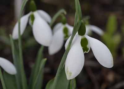 DSC_7152_DxO.jpg