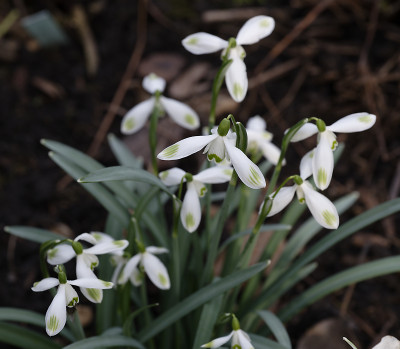 DSC_7158_DxO.jpg