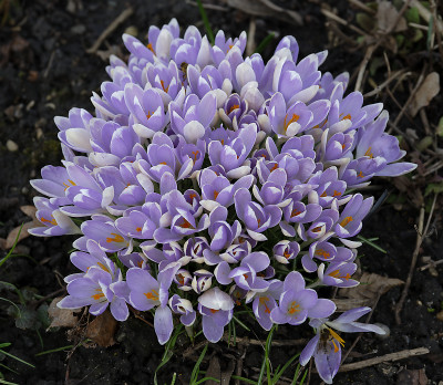 DSC_7151_DxO.jpg