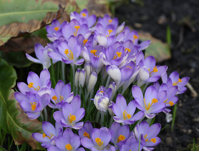 DSC_7153_DxO.jpg