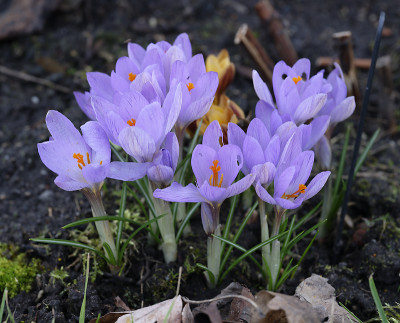 DSC_7165_DxO.jpg