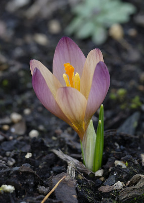 DSC_7163_DxO.jpg