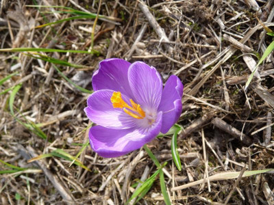 P1160783.JPG