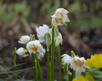 DSC_7167_DxO.jpg
