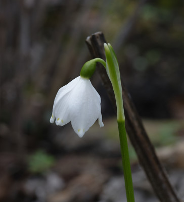 DSC_7123_DxO.jpg