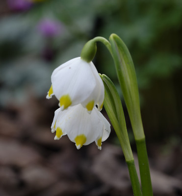 DSC_7168_DxO.jpg