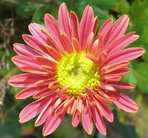Herbstsonne_2_1_1_1.jpg