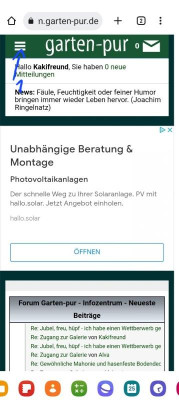Screenshot_20230225_142749_Samsung Internet.jpg