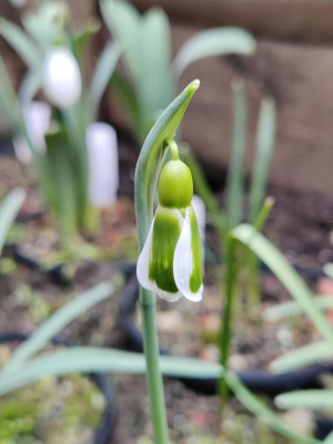 IMG_20230225_153830_Bokeh.jpg