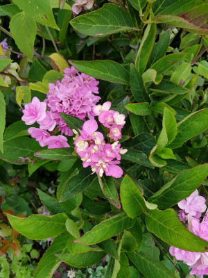 20170817_094740.jpg