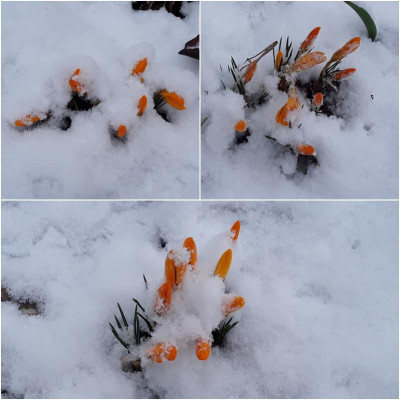 Winterein.jpg