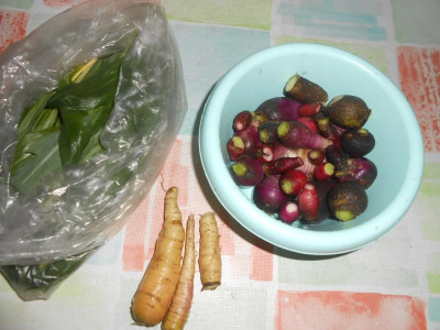 DSCN5469.JPG