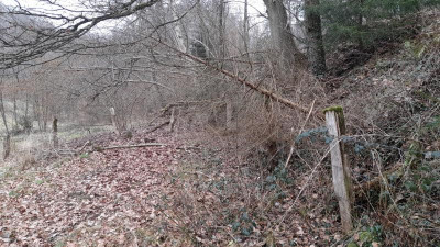 IMG-20230216-WA0007.jpeg