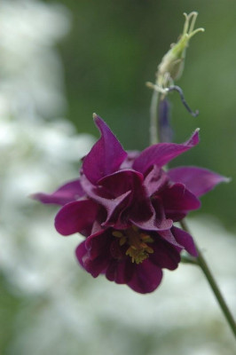 15.08.2008_063.jpg
