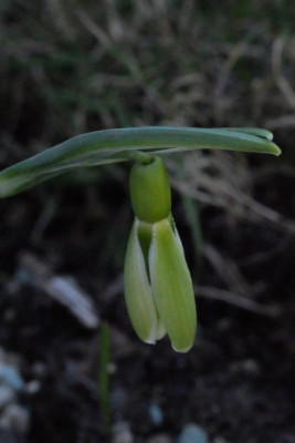 DSCF7574.JPG