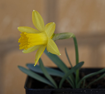 DSC_7203_DxO.jpg