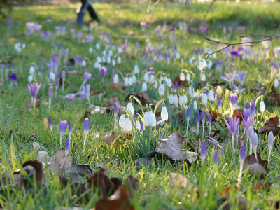2023-03-01 Gartenimpressionen 6.jpg
