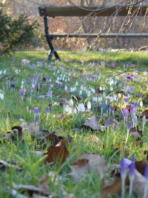 2023-03-01 Gartenimpressionen 4.jpg