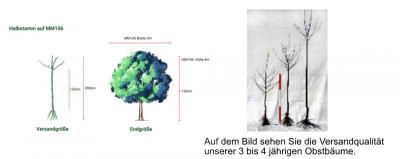 angebliche Versandqualitäten 01.jpg