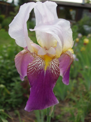 folgwang_2008.jpg