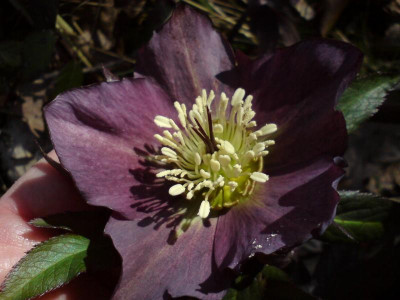 DSC07237.JPG