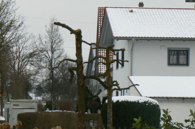 P1130251.JPG