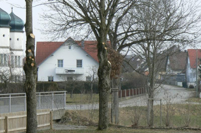 P1130254.JPG