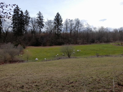 kreuzwegwiesemärz23silber.jpg
