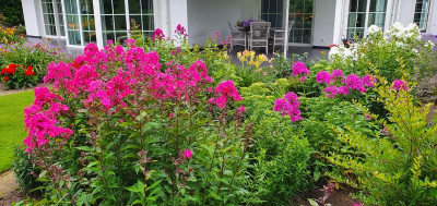 20200724_074507.jpg