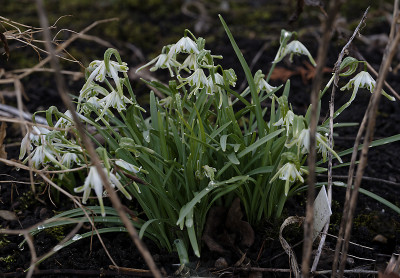 DSC_7224_DxO.jpg