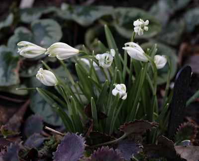 DSC_7223_DxO.jpg