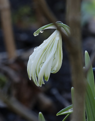 DSC_7225_DxO.jpg