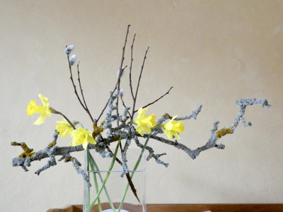 vorfrühling.jpg