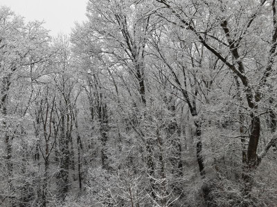 20230308_082155.jpg