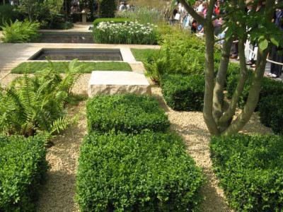IMG_1144_Reflective_Garden_2.jpg