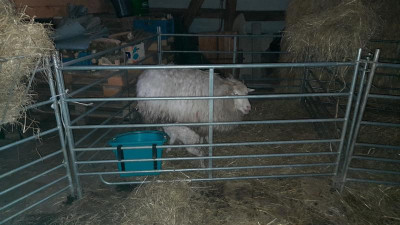 IMG-20230308-WA0010.jpeg