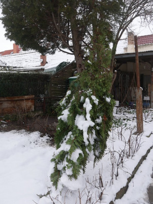 P1030490.JPG