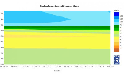 Bodenprofil2.png