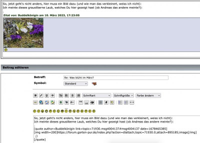 Bildschirmfoto 2023-03-11 um 09.32.59.png