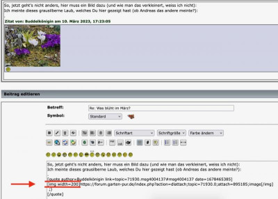 Screenshot.jpg