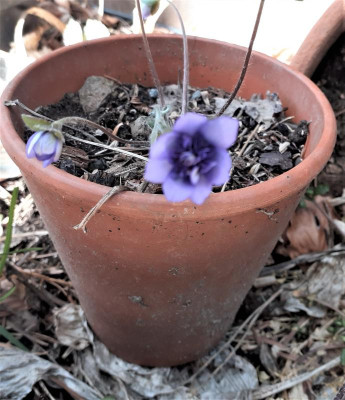 20230311_120843.jpg