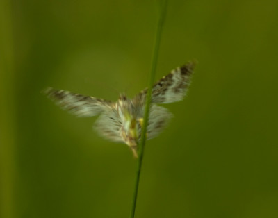 Abflug.jpg