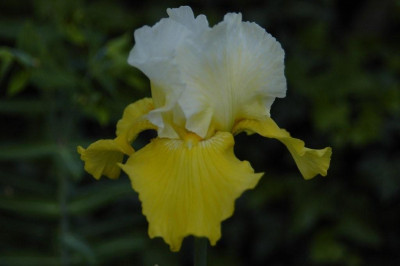 24.05.2008_018.jpg
