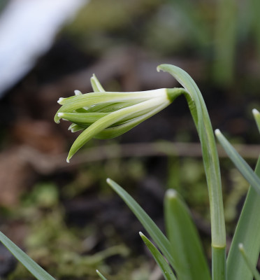 DSC_7286_DxO.jpg