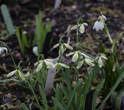 DSC_7290_DxO.jpg