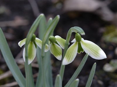 DSC_7291_DxO.jpg