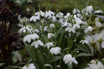 DSC_7307_DxO.jpg