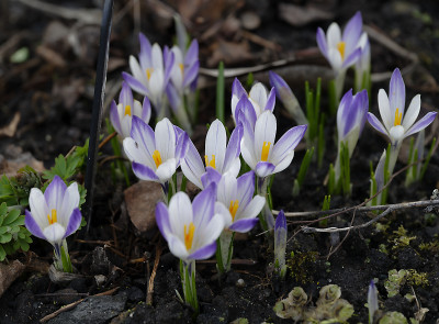 DSC_7292_DxO.jpg