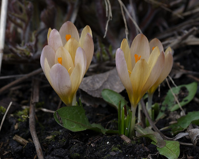 DSC_7284_DxO.jpg